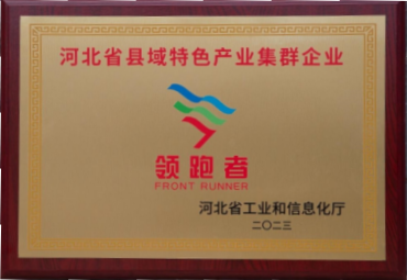 河北省县域特色产业集群企业领跑者