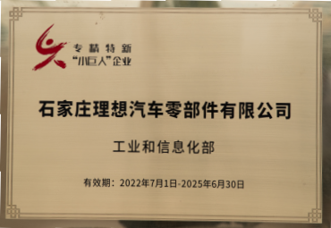 国家级专精特新“小巨人”企业
